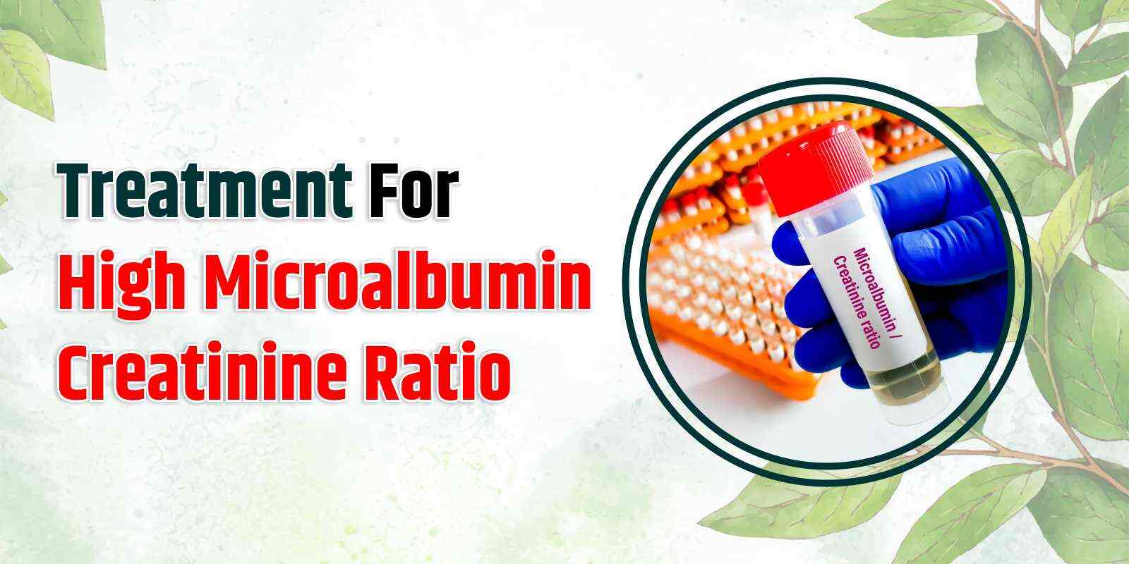 Treatment For High Microalbumin Creatinine Ratio